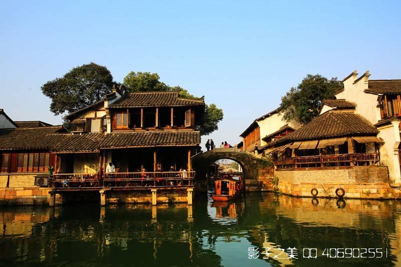 可爱兔子营救